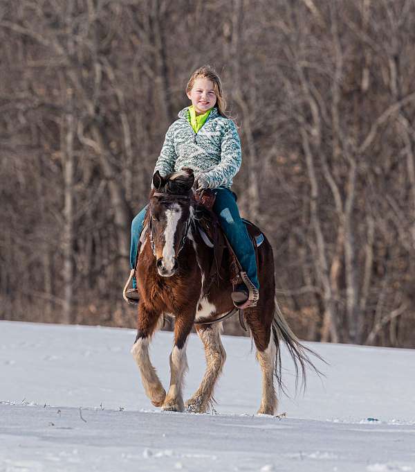 direct-rein-pony