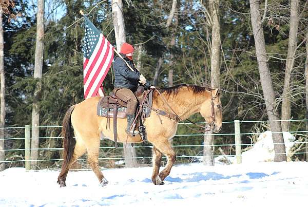 trail-riding-quarter-horse