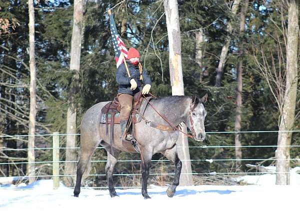 ranch-versatility-quarter-horse