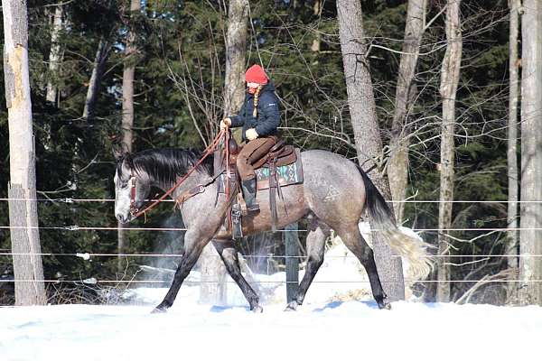 ranch-work-quarter-horse