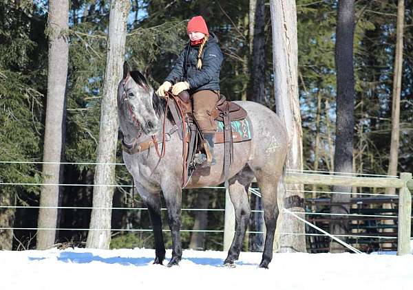 roping-quarter-horse