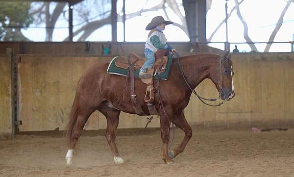 ranch-work-quarter-horse