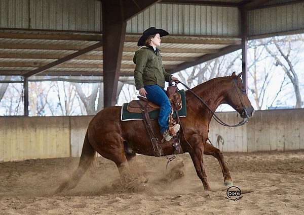 trail-riding-quarter-horse