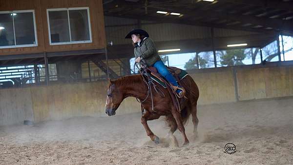 western-riding-quarter-horse