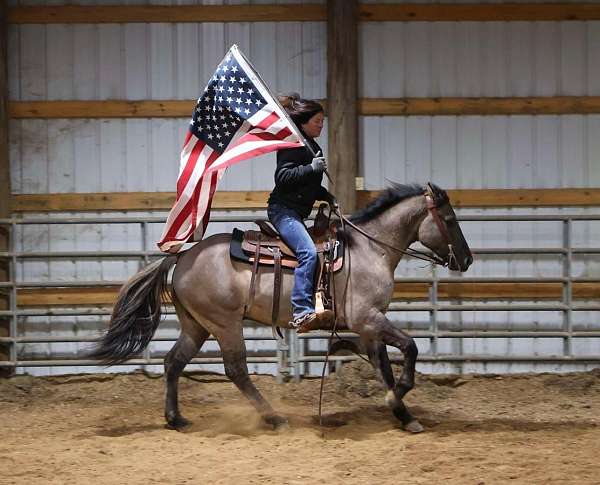 calf-roping-quarter-horse