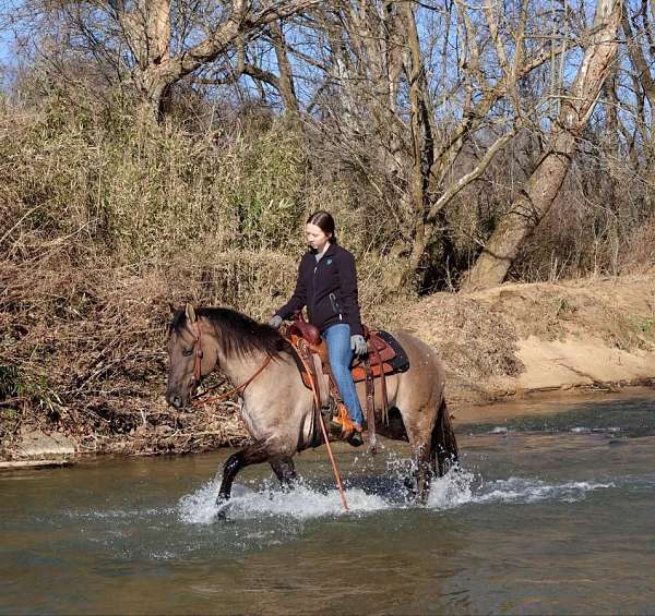 husband-safe-quarter-horse