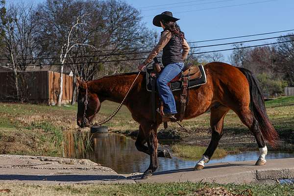 flashy-quarter-horse