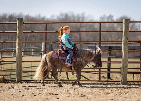 kid-safe-pony