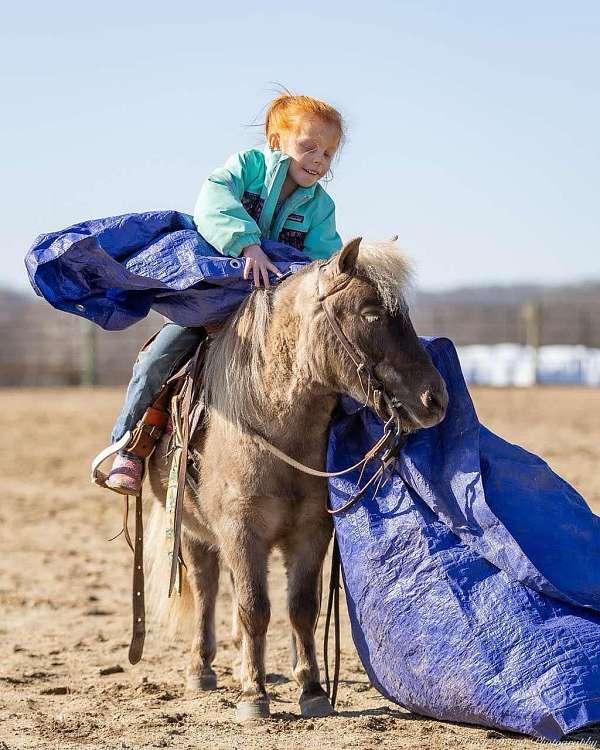 chocolate-all-around-pony