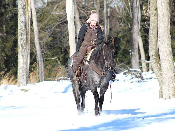 flashy-quarter-horse