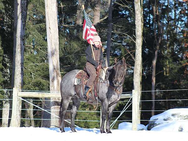 ranch-versatility-quarter-horse