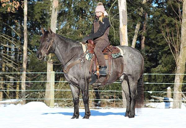 ranch-work-quarter-horse