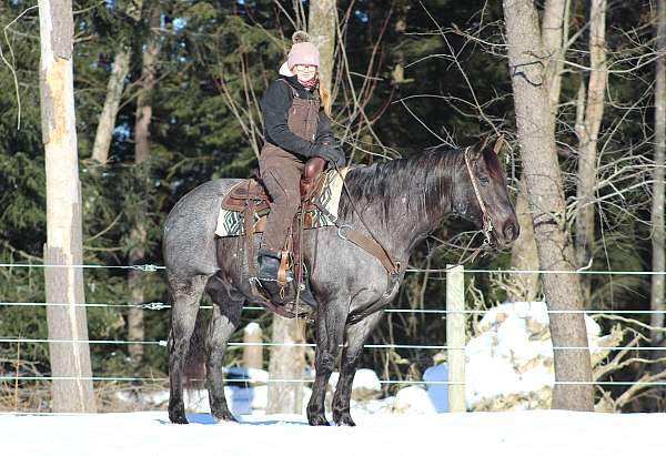 roping-quarter-horse