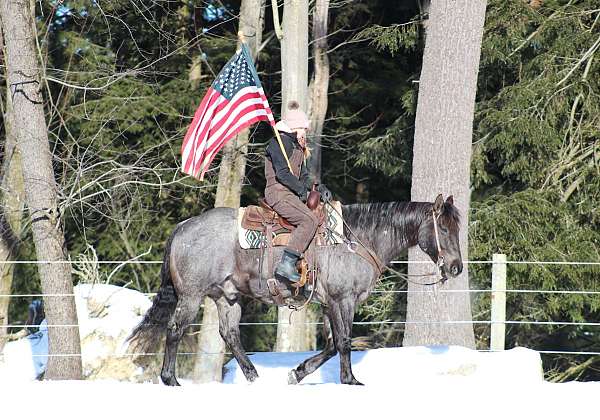 trail-riding-quarter-horse