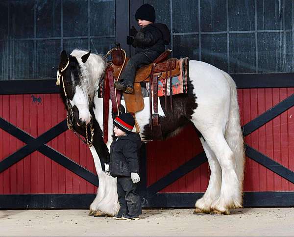 flashy-gypsy-vanner-horse