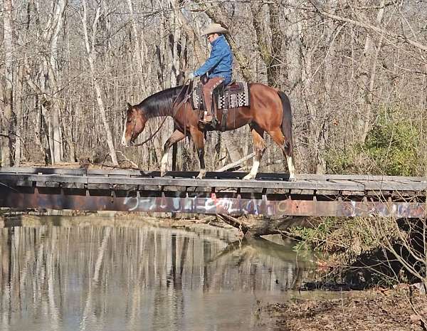 husband-safe-paint-horse