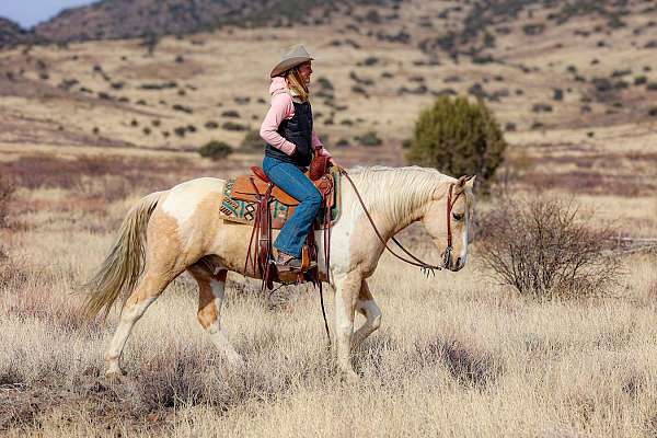 ranch-work-paint-horse