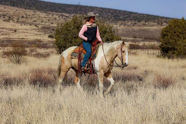 roping-paint-horse