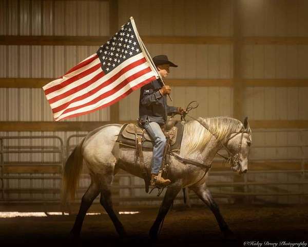 husband-safe-percheron-horse