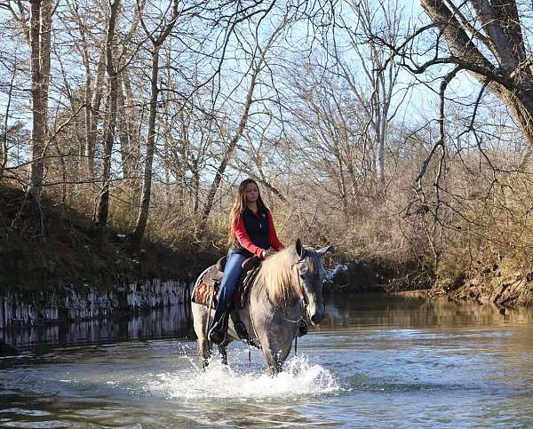 ranch-work-percheron-horse