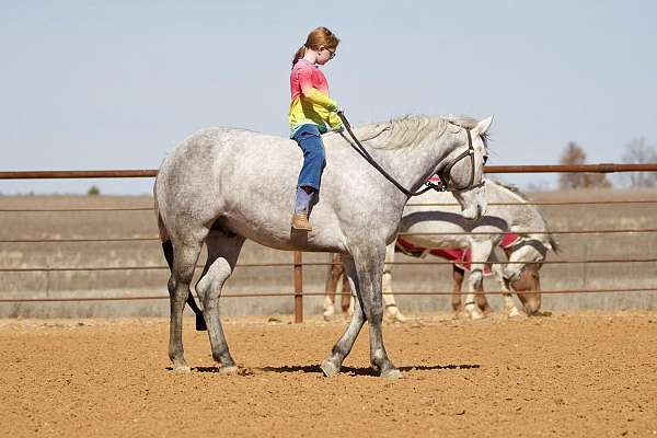 athletic-quarter-horse