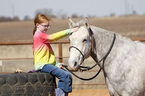 calf-roping-quarter-horse