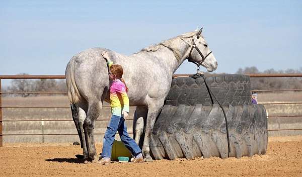 husband-safe-quarter-horse