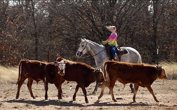 flashy-quarter-horse