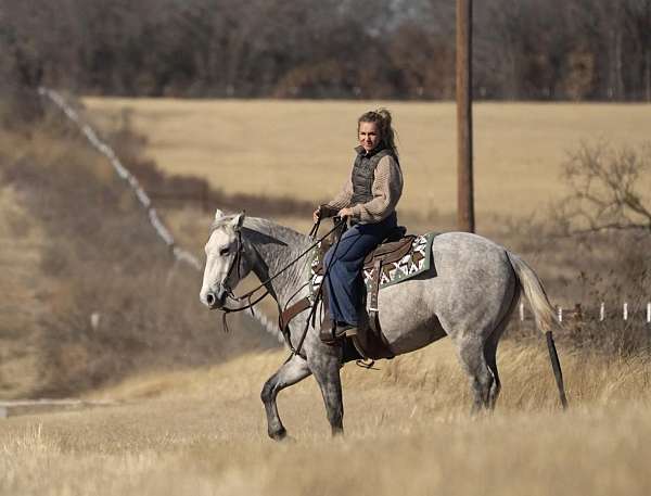 ranch-versatility-quarter-horse