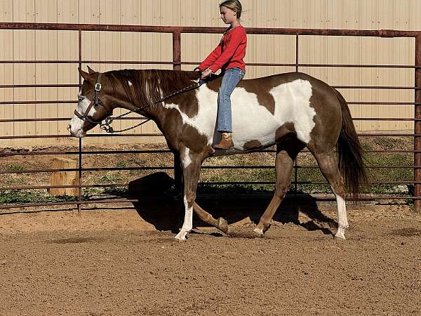 ranch-versatility-quarter-horse