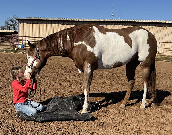 ranch-work-quarter-horse