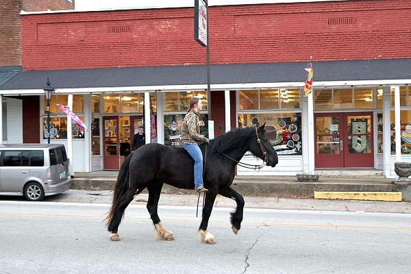 kid-safe-shire-horse