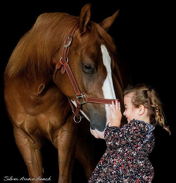 kid-safe-quarter-horse