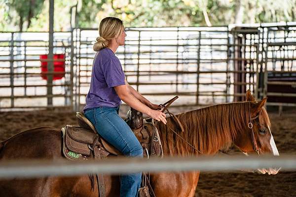 ridden-english-quarter-horse