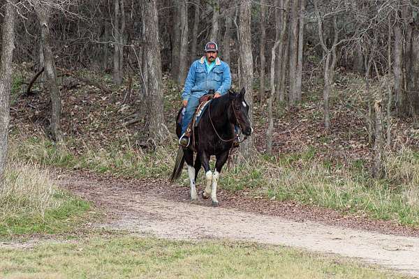 ranch-versatility-paint-horse