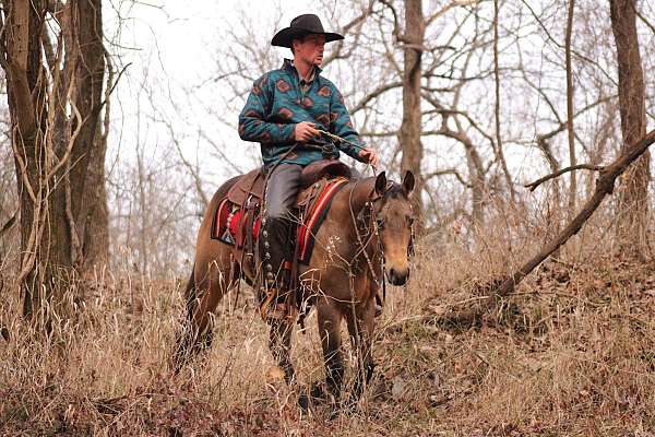 breeding-quarter-horse