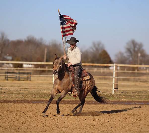 flashy-quarter-horse