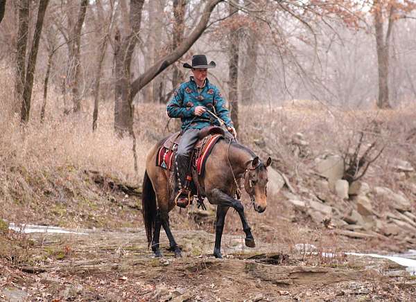 ranch-work-quarter-horse