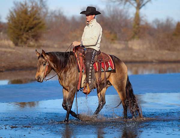 trail-riding-quarter-horse