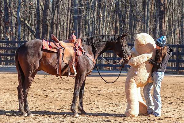 performance-paint-horse