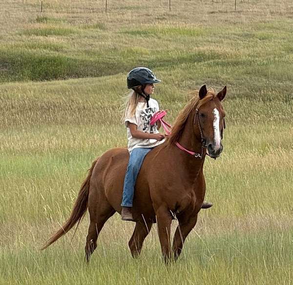 barrel-racing-quarter-pony