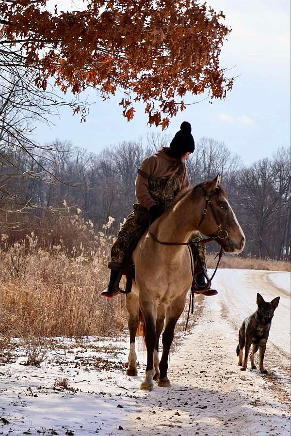 seat-appaloosa-horse