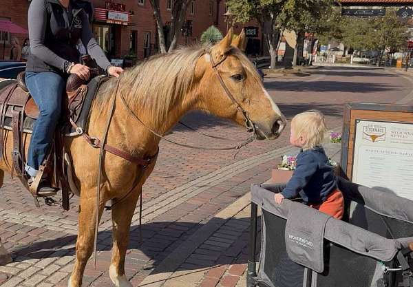 athletic-quarter-horse