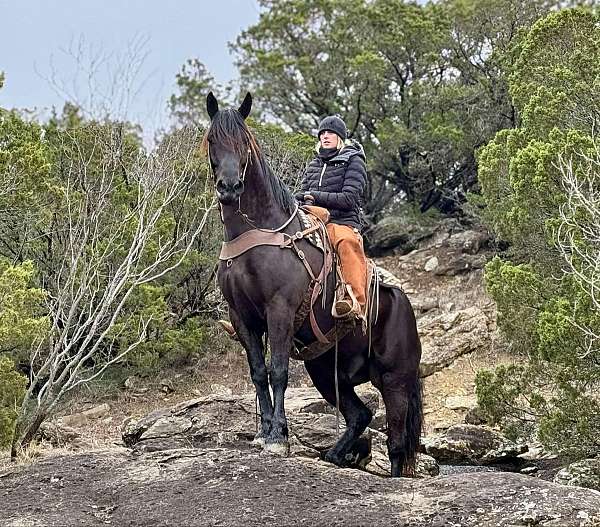 palomino-quarter-horse