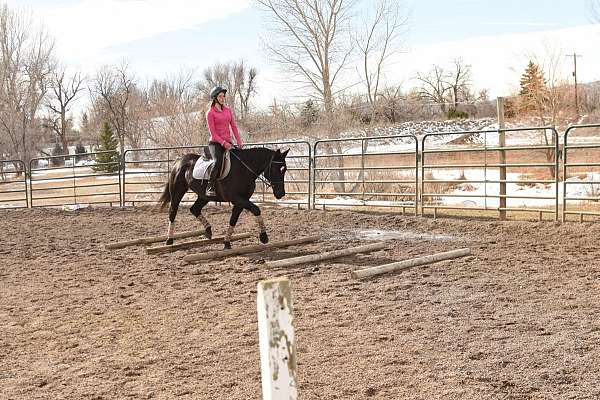 kid-safe-quarter-horse