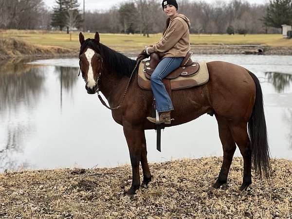 husband-safe-quarter-horse