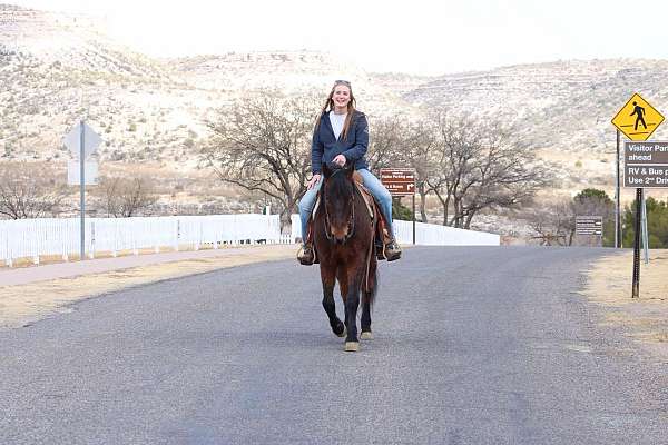 husband-safe-quarter-horse