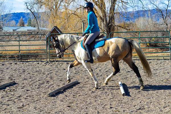 mountain-riding-paint-horse