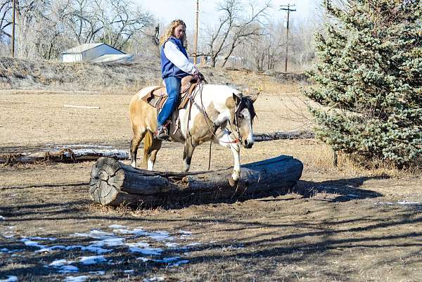 ground-work-mare