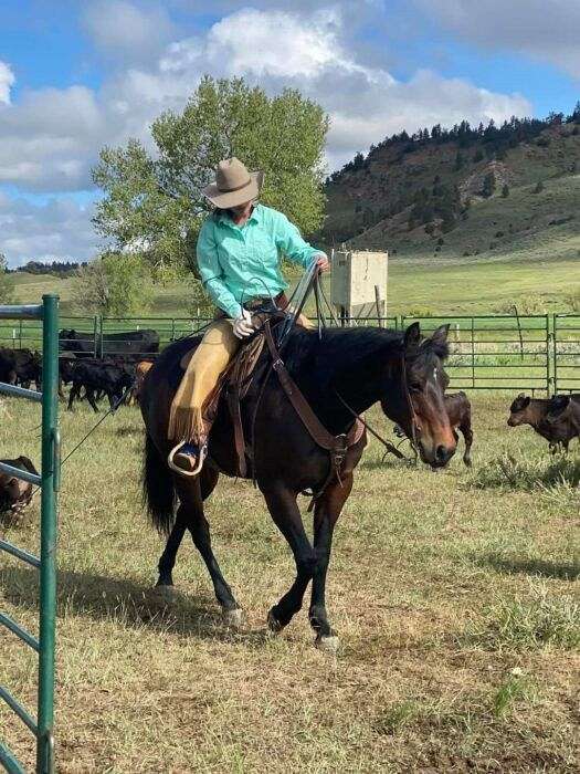 calf-roping-quarter-horse